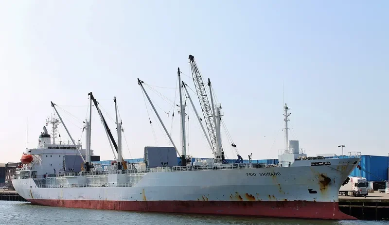 FRIO SHINANO General Cargo IMO 9073385 photo 7