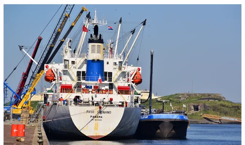 FRIO SHINANO General Cargo IMO 9073385 photo 8