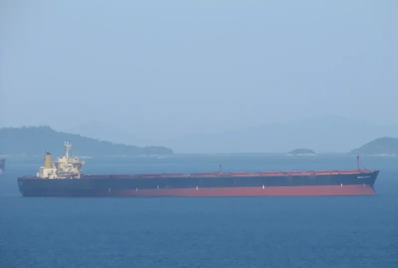 BERGE KANGCHENJUNGA Bulk Carrier IMO 9073438 photo 2