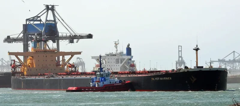 SILVER MARINER Bulk Carrier IMO 9073488 photo 3