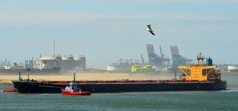 SILVER MARINER Bulk Carrier IMO 9073488 photo 4