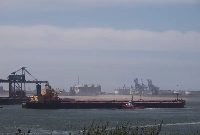 SILVER MARINER Bulk Carrier IMO 9073488 photo 6