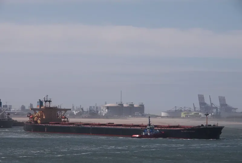 SILVER MARINER Bulk Carrier IMO 9073488 photo 7