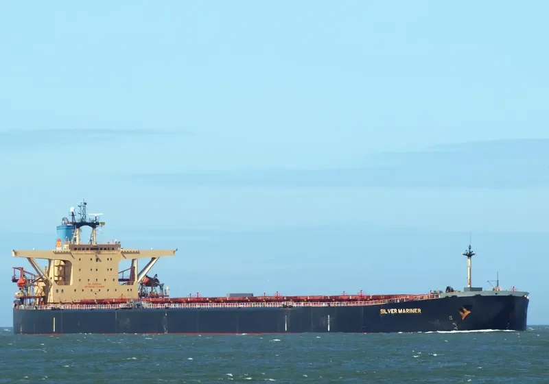 SILVER MARINER Bulk Carrier IMO 9073488 photo 9