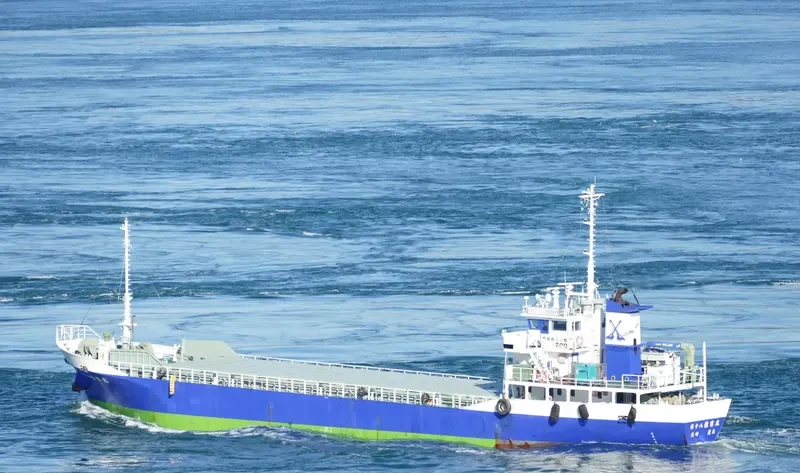 SUMIYOSHI MARU NO.18 General Cargo IMO 9073543 photo 4