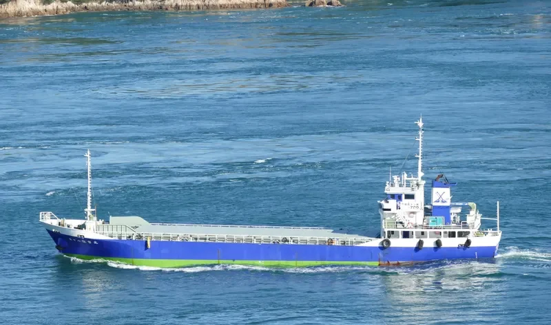 SUMIYOSHI MARU NO.18 General Cargo IMO 9073543 photo 5