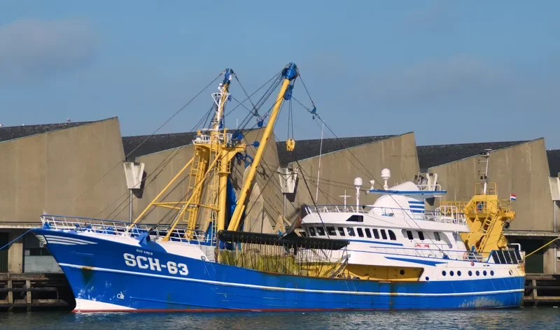 SCH 63 QUO VADIS General Cargo IMO 9073878