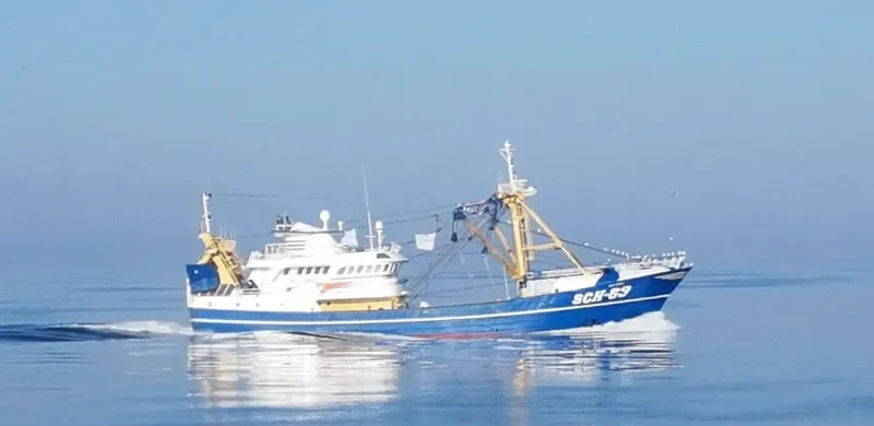 SCH 63 QUO VADIS General Cargo IMO 9073878 photo 2