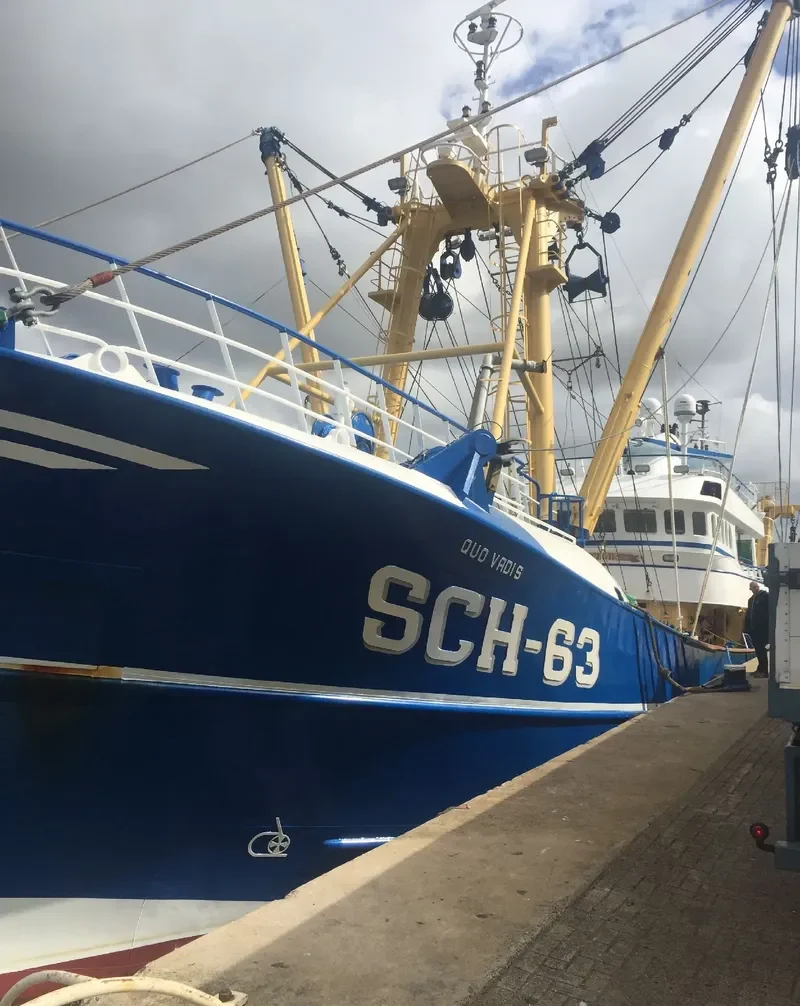 SCH 63 QUO VADIS General Cargo IMO 9073878 photo 4