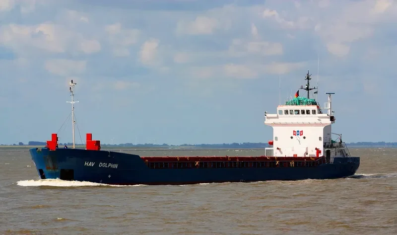 FRI DOLPHIN General Cargo IMO 9073880