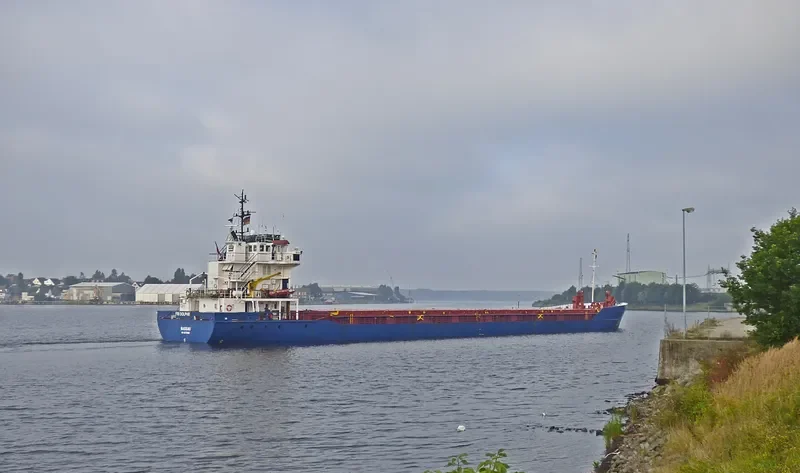 FRI DOLPHIN General Cargo IMO 9073880 photo 5