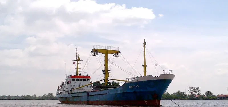BERJAYA II General Cargo IMO 9073907