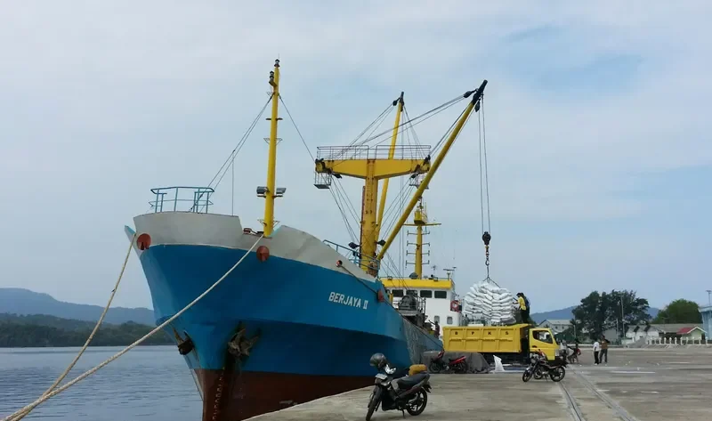 BERJAYA II General Cargo IMO 9073907 photo 6