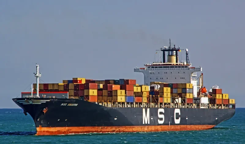 MSC SOCOTRA Container Ship IMO 9074004