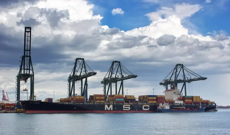 MSC SOCOTRA Container Ship IMO 9074004 photo 2