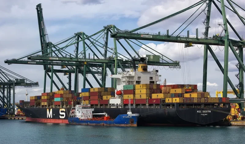 MSC SOCOTRA Container Ship IMO 9074004 photo 3