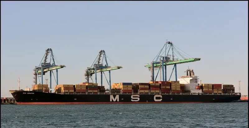 MSC SOCOTRA Container Ship IMO 9074004 photo 9