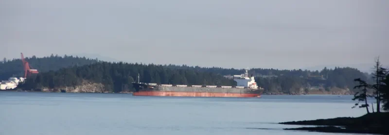 SEACONPRIDE Bulk Carrier IMO 9074016 photo 2
