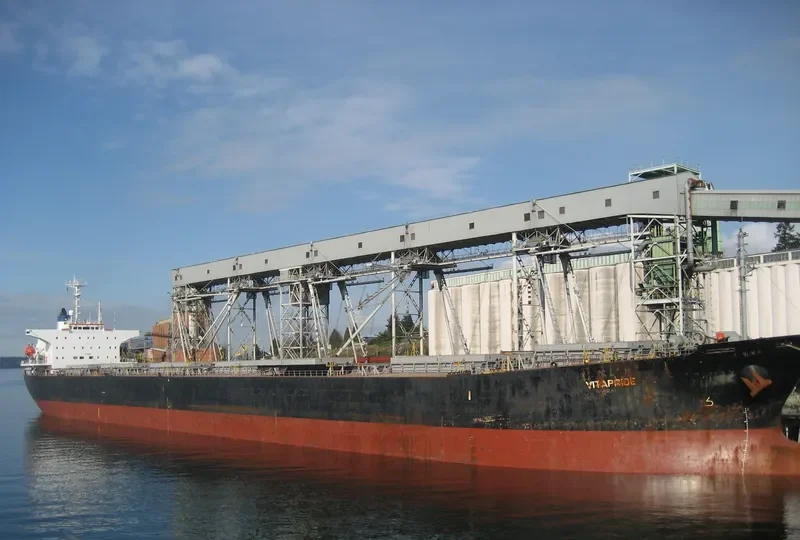 SEACONPRIDE Bulk Carrier IMO 9074016 photo 3