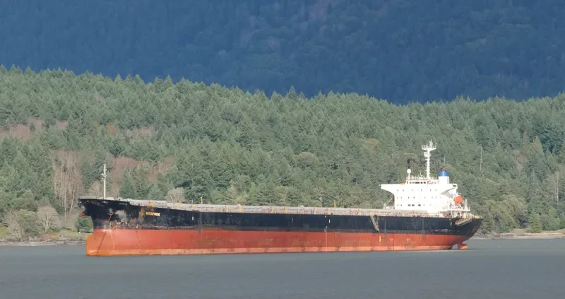 SEACONPRIDE Bulk Carrier IMO 9074016 photo 5