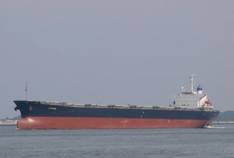 SEACONPRIDE Bulk Carrier IMO 9074016 photo 6