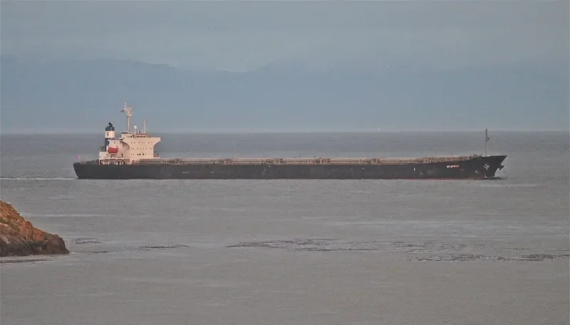 SEACONPRIDE Bulk Carrier IMO 9074016 photo 8