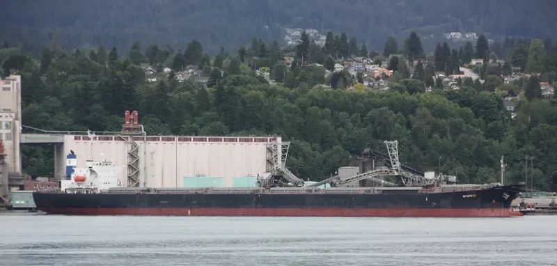 SEACONPRIDE Bulk Carrier IMO 9074016 photo 9