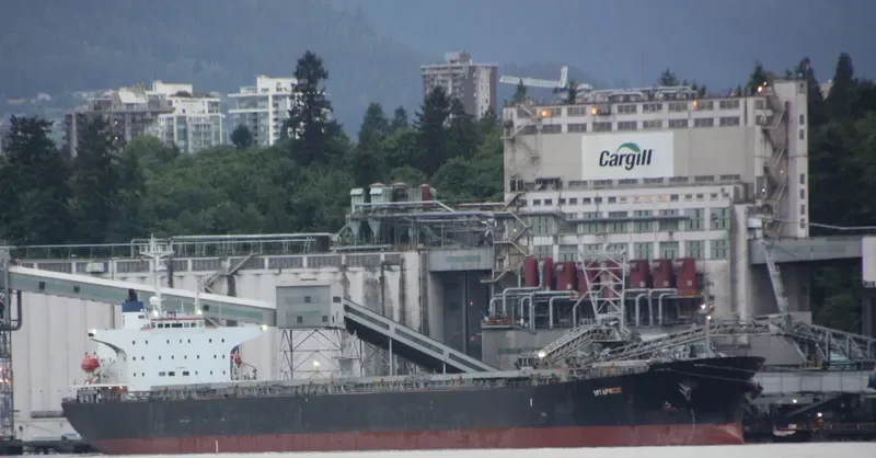 SEACONPRIDE Bulk Carrier IMO 9074016 photo 10