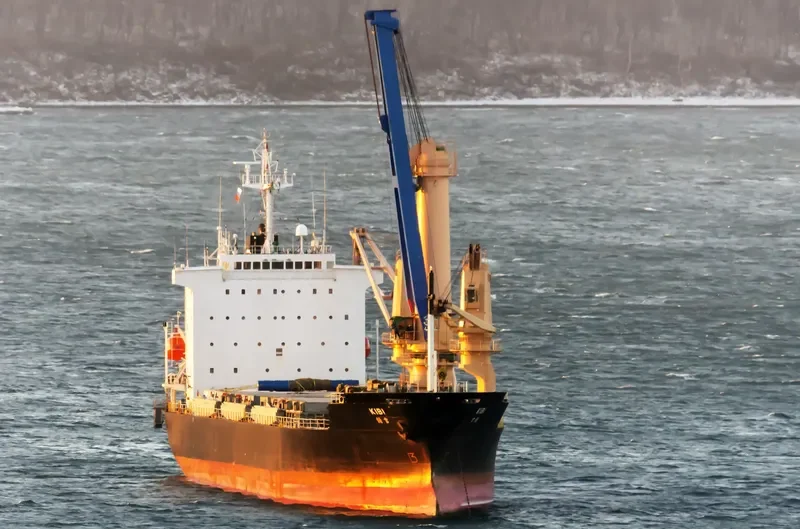 NEW COURAGE General Cargo IMO 9074030 photo 2