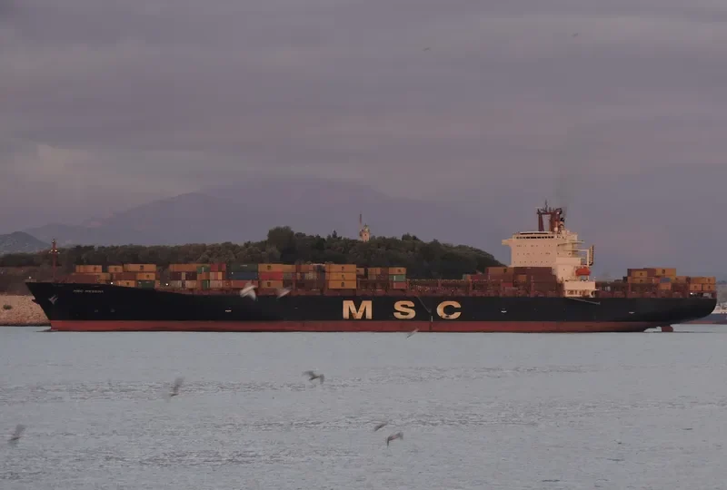MSC POLARIS Container Ship IMO 9074042 photo 3