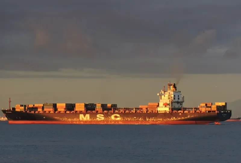 MSC POLARIS Container Ship IMO 9074042 photo 5