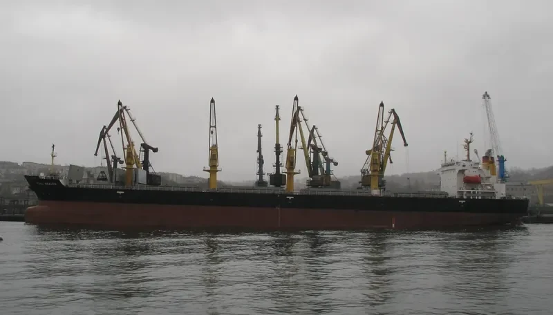 FULL WEALTH Bulk Carrier IMO 9074054 photo 4