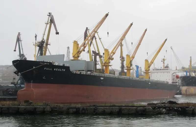 FULL WEALTH Bulk Carrier IMO 9074054 photo 5