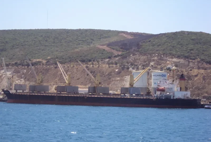 FULL WEALTH Bulk Carrier IMO 9074054 photo 6