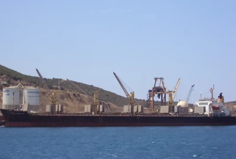 FULL WEALTH Bulk Carrier IMO 9074054 photo 7