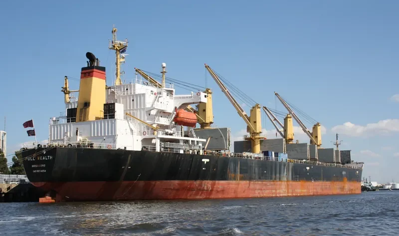 FULL WEALTH Bulk Carrier IMO 9074054 photo 9