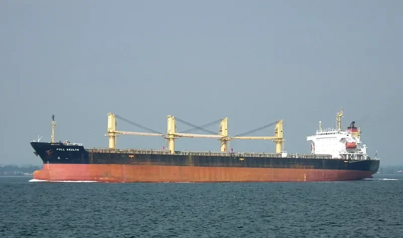 FULL WEALTH Bulk Carrier IMO 9074054 photo 10