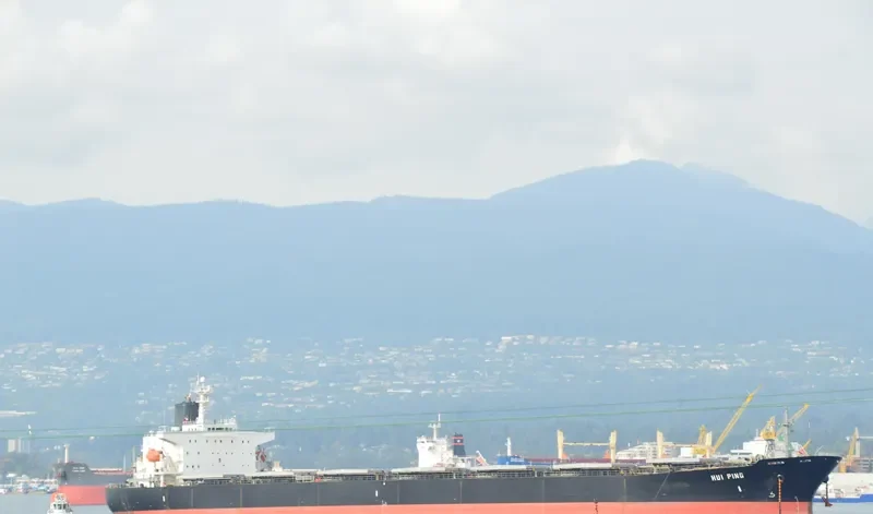 HUI PING Bulk Carrier IMO 9074107 photo 2