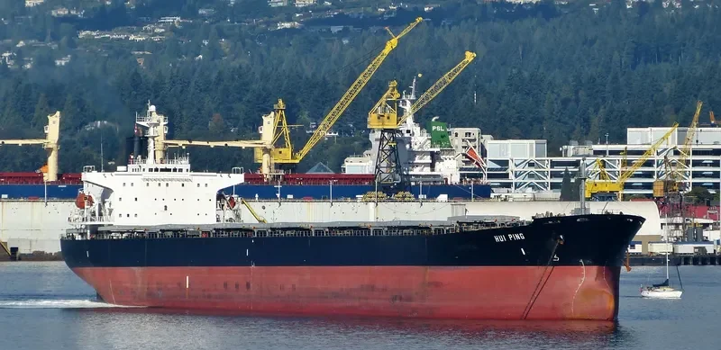 HUI PING Bulk Carrier IMO 9074107 photo 6