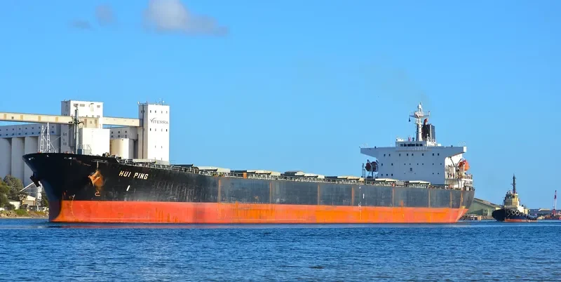HUI PING Bulk Carrier IMO 9074107 photo 8