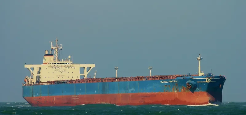 ANANGEL AMBITION Bulk Carrier IMO 9074119 photo 3