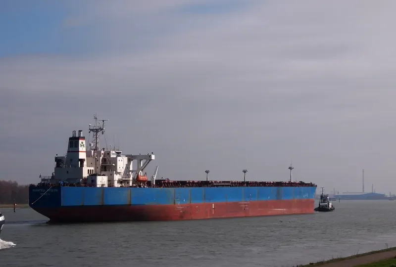 ANANGEL AMBITION Bulk Carrier IMO 9074119 photo 7