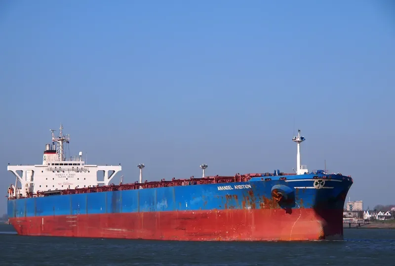 ANANGEL AMBITION Bulk Carrier IMO 9074119 photo 8