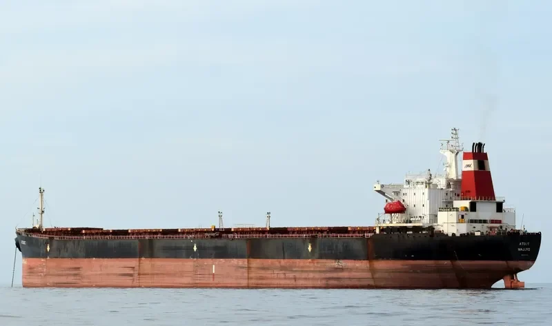 ATOUT Bulk Carrier IMO 9074133