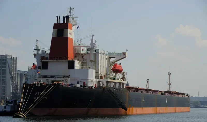 ATOUT Bulk Carrier IMO 9074133 photo 2