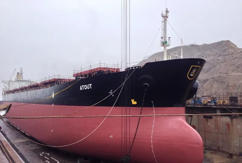 ATOUT Bulk Carrier IMO 9074133 photo 4
