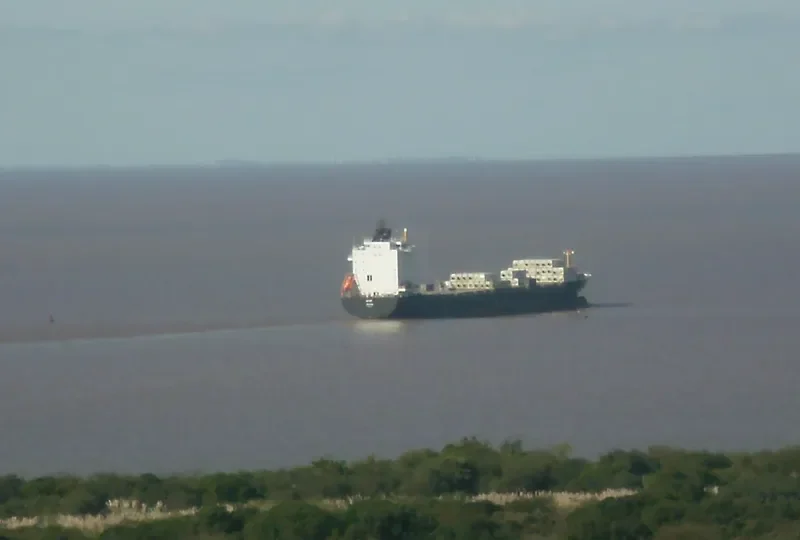 ATOUT Bulk Carrier IMO 9074133 photo 7