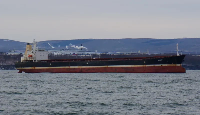 ATOUT Bulk Carrier IMO 9074133 photo 8