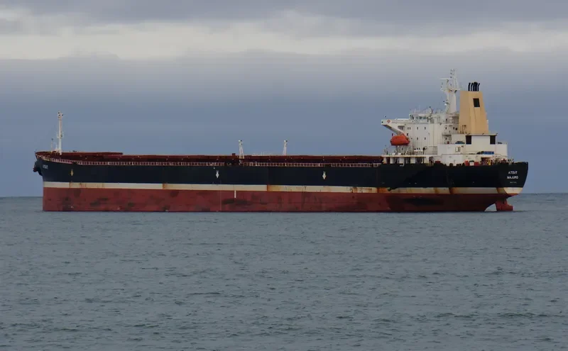 ATOUT Bulk Carrier IMO 9074133 photo 9