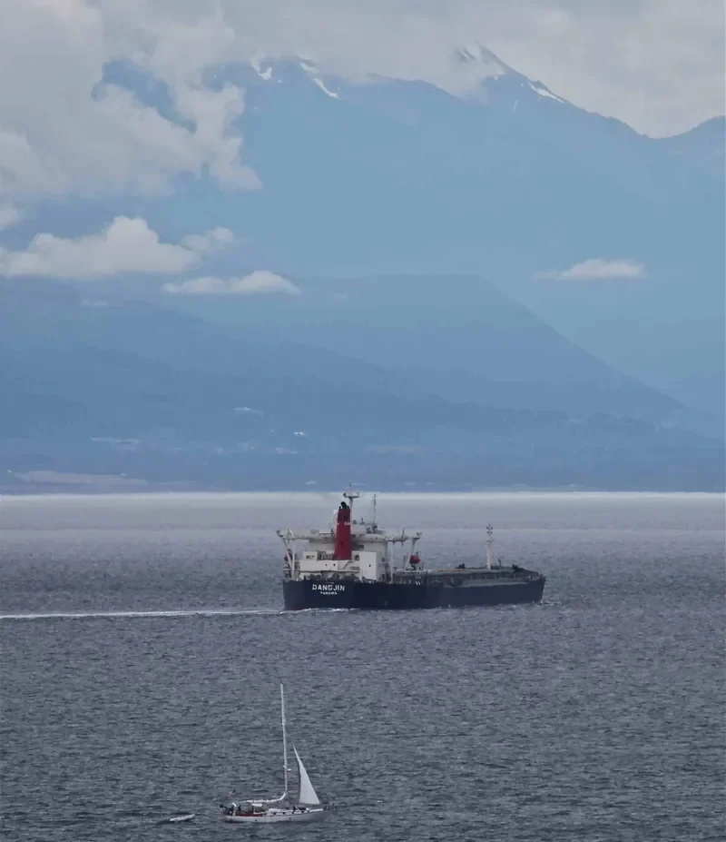 DANG Bulk Carrier IMO 9074195